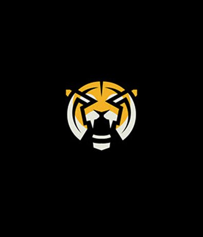 The Designs Legacy